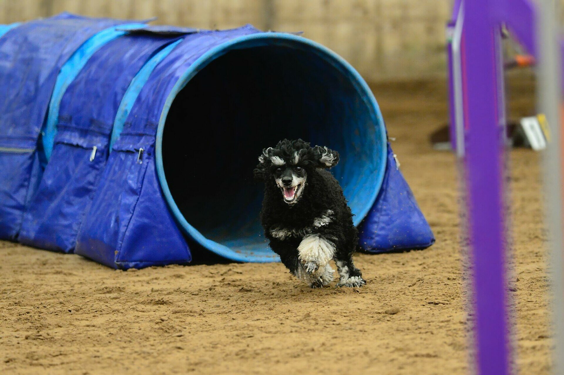 Vrije-training-vrijdag